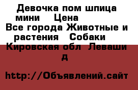 Девочка пом шпица мини  › Цена ­ 30 000 - Все города Животные и растения » Собаки   . Кировская обл.,Леваши д.